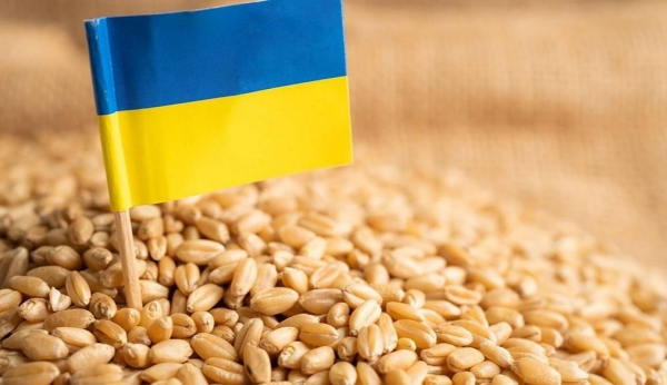 اقتصاد: خبراء يقولون إن تداعيات تعليق “اتفاق الحبوب الأوكرانية” لن تكون فورية بل على المدى المتوسط